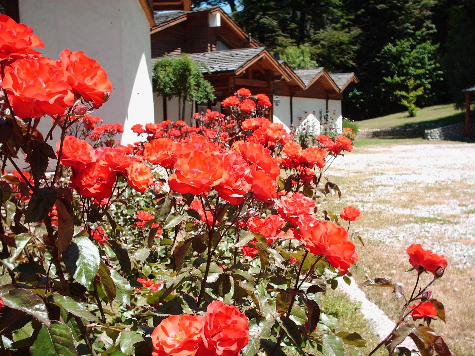 Hosteria El Condado San Carlos de Bariloche Exterior photo